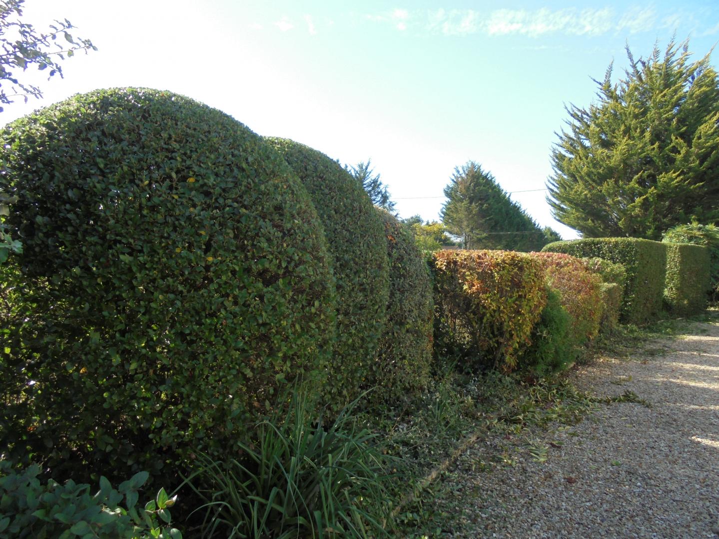 Élagage, Migné-Auxances
